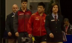 开云平台-法国队碾压瑞典队，樊振东惊艳四座