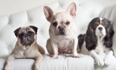 开云体育-欧冠淘汰赛焦点战启示录，尼克斯终结快船背后的竞技哲学