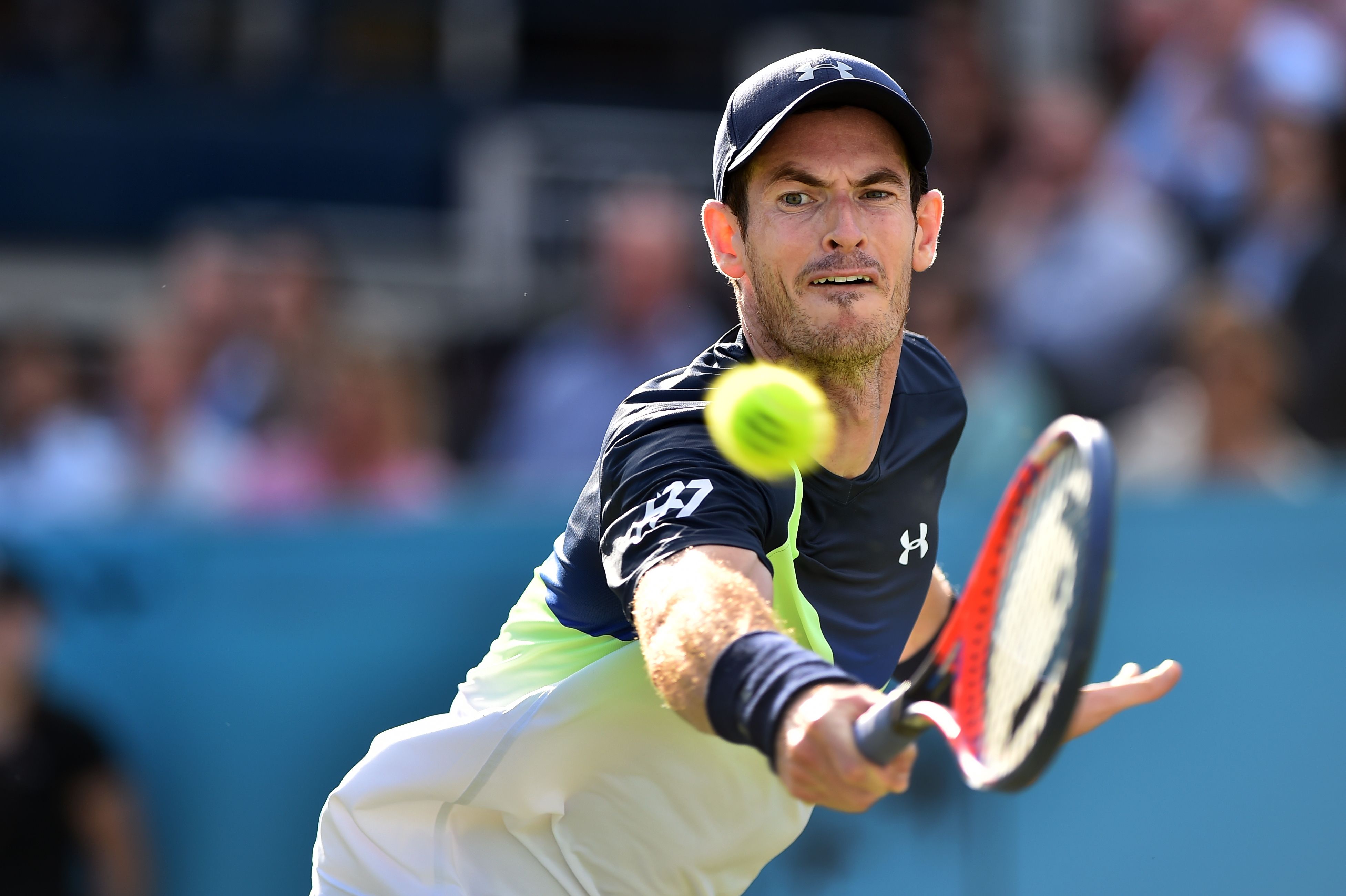 美国网球队绝杀意大利网球队，穆雷惊艳世界的简单介绍