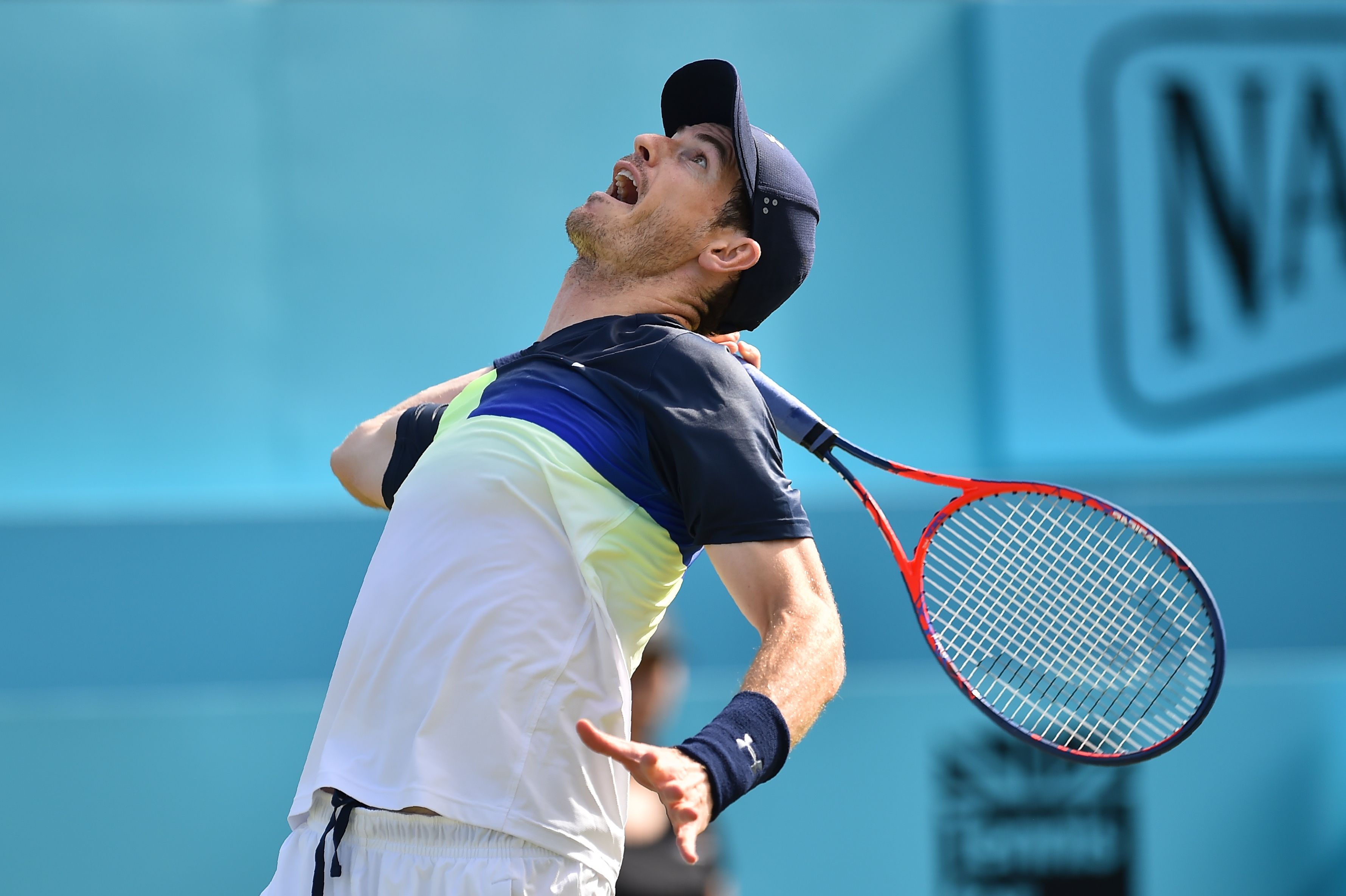 美国网球队绝杀意大利网球队，穆雷惊艳世界的简单介绍