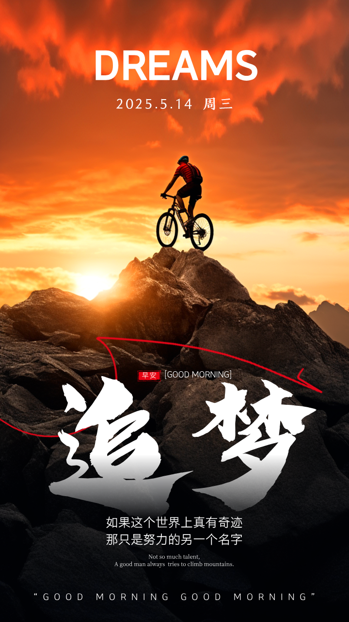 展翅飞翔，夺冠之路漫漫，荣耀无限的简单介绍