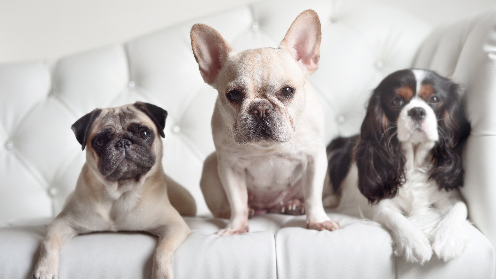 欧冠淘汰赛焦点战启示录,尼克斯终结快船背后的竞技哲学